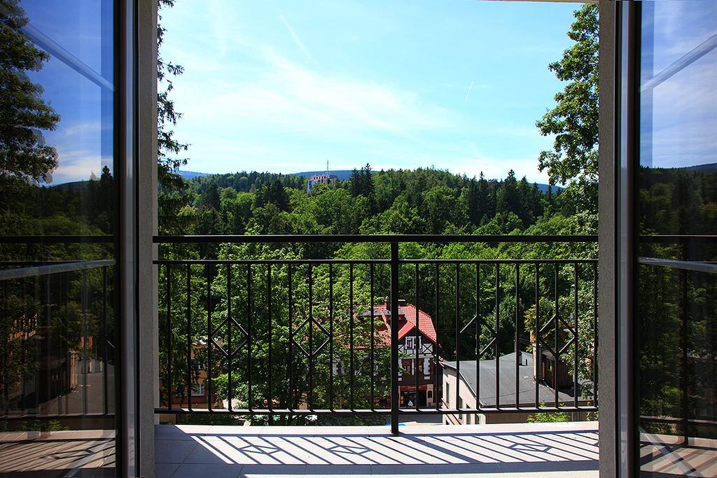 Villa Avangarda Шклярська Поремба Номер фото